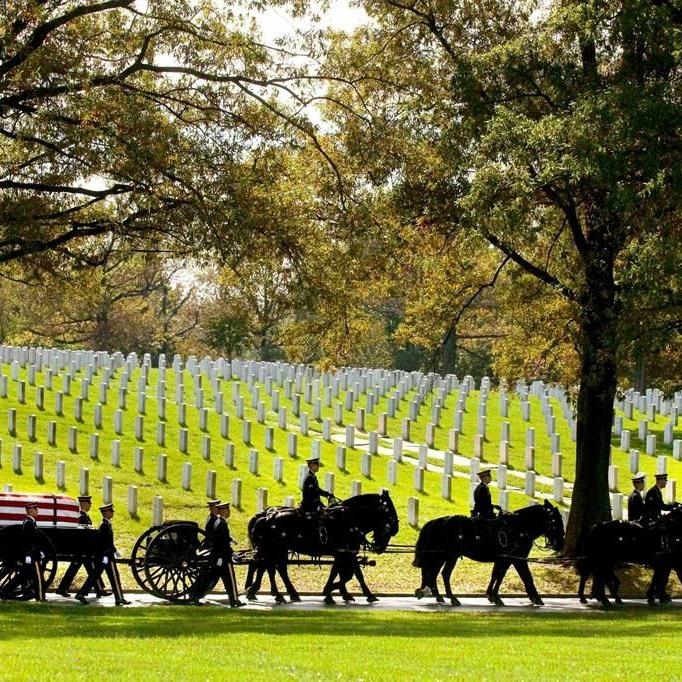 The return of horse-drawn caissons to Arlington ºÃÉ«tv Cemetery is delayed for at least months